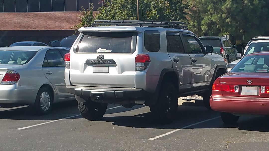 spotted_00.jpg